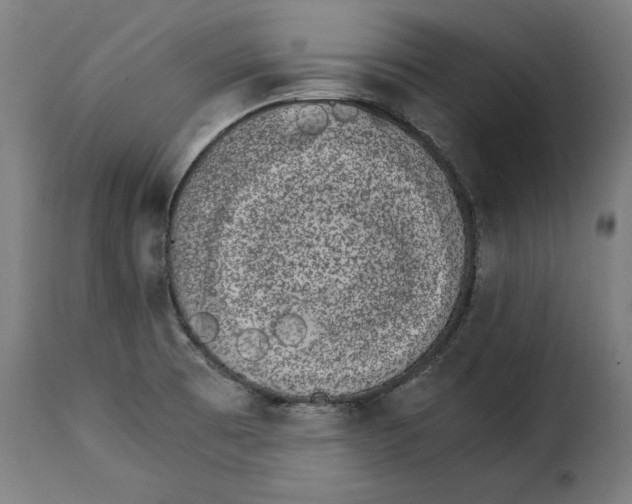 X0000115281473200911201740