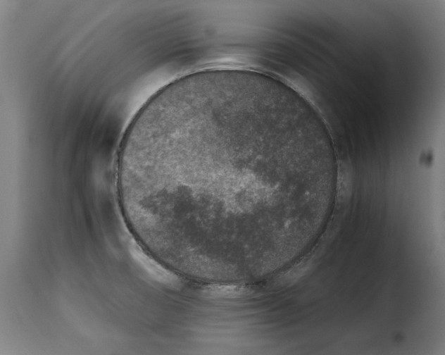 X0000115281474200911201740