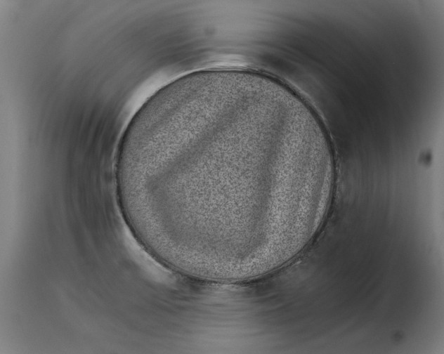 X0000115281475200911201740