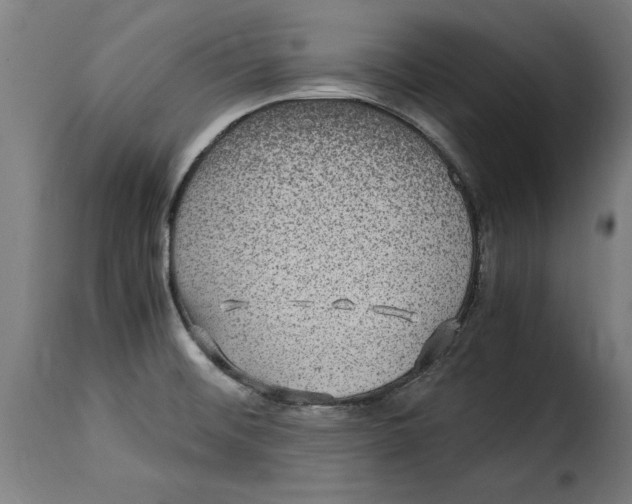 X0000115281476200911201740