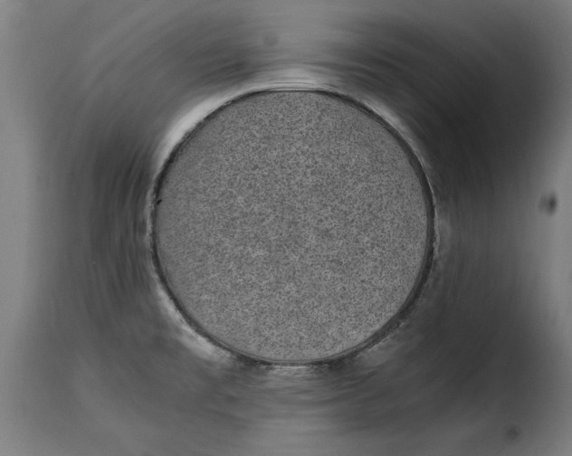 X0000115281477200911201740