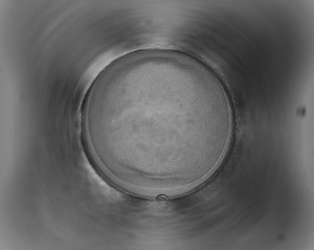 X0000115281479200911201740