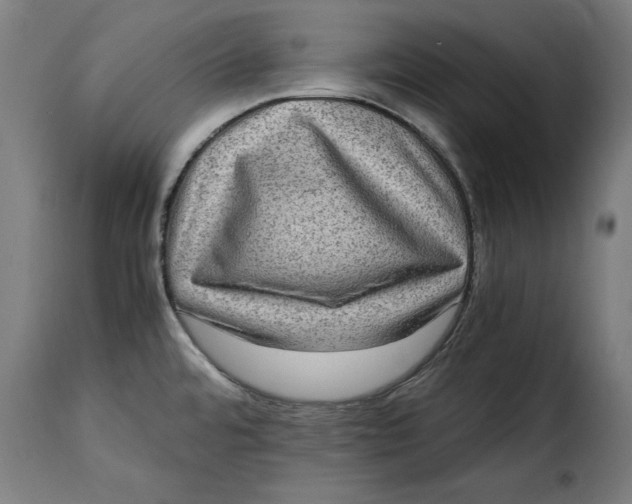 X0000115281480200911201740