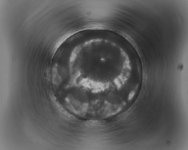 X0000115281481200911201740