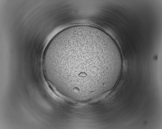 X0000115281482200911201740