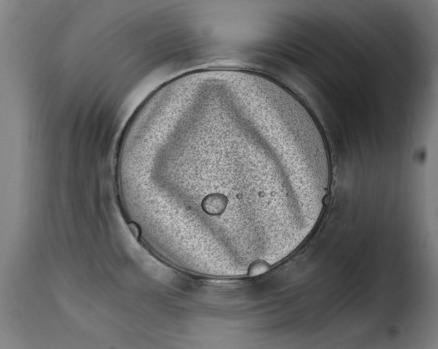 X0000115281483200911201740