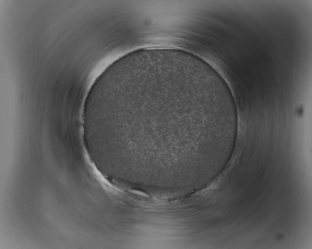 X0000115281485200911201740