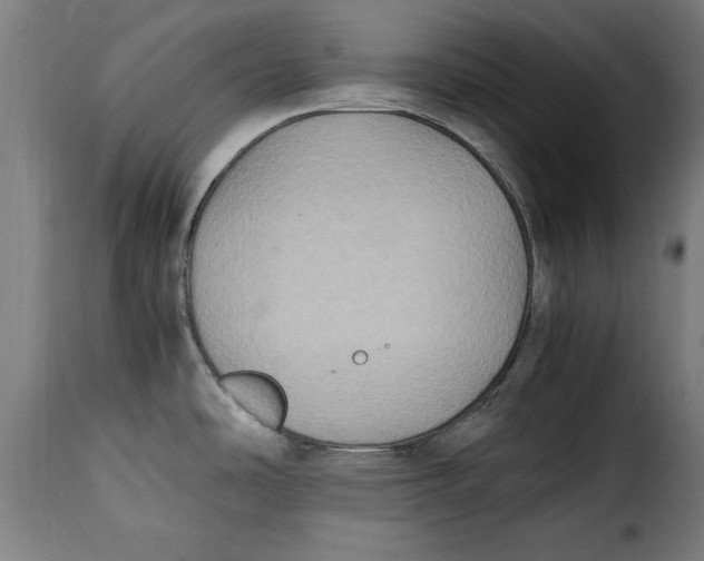 X0000115281486200911201740