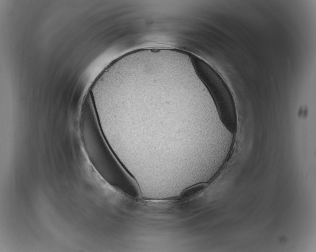 X0000115281488200911201740