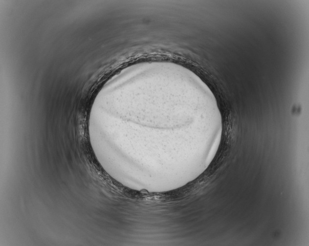 X0000115281490200911201739