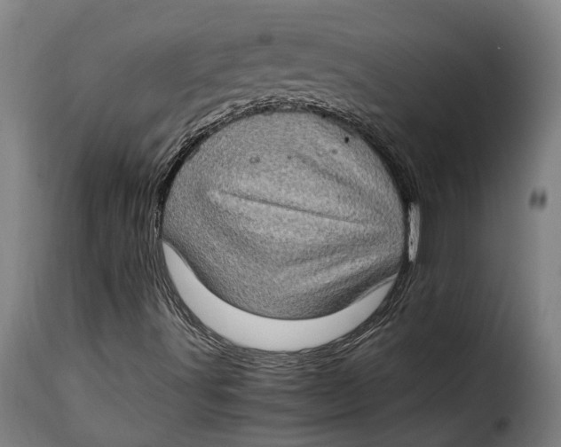 X0000115281491200911201739