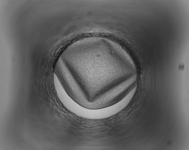 X0000115281493200911201739