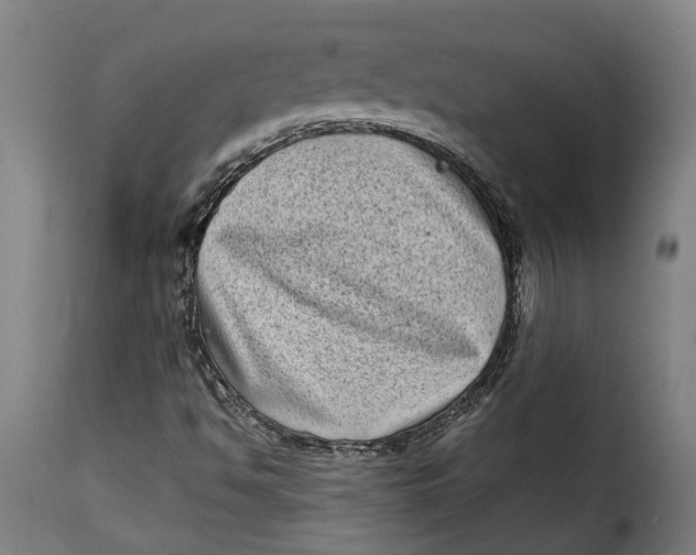 X0000115281494200911201739