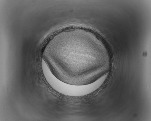 X0000115281495200911201739