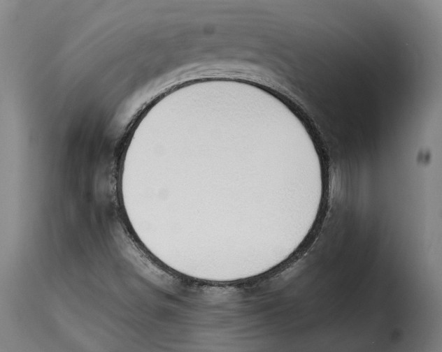 X0000115281498200911201739