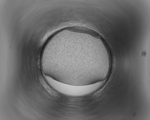 X0000115281499200911201739