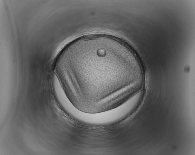 X0000115281501200911201739