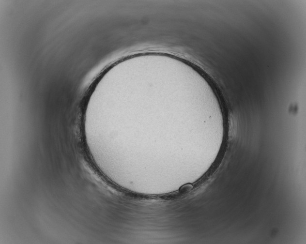 X0000115281502200911201739