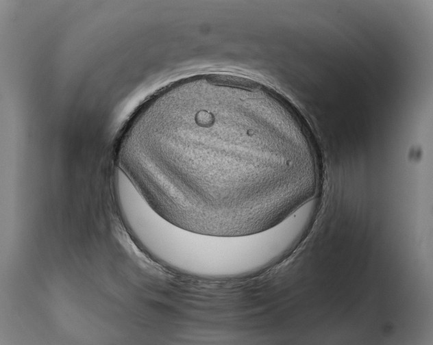 X0000115281503200911201739