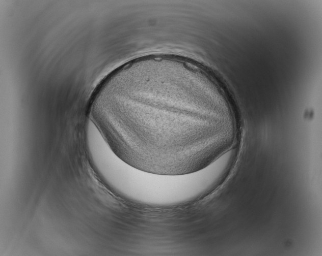 X0000115281505200911201740