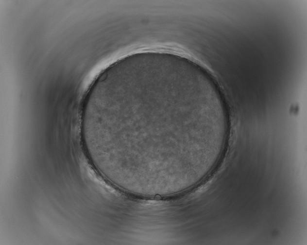 X0000115281506200911201740