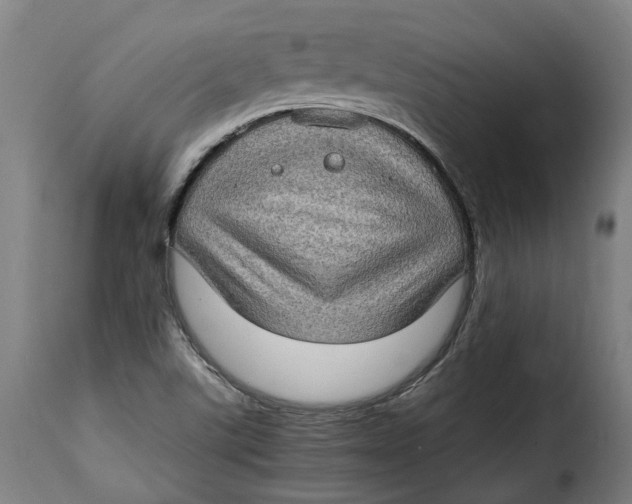 X0000115281507200911201740