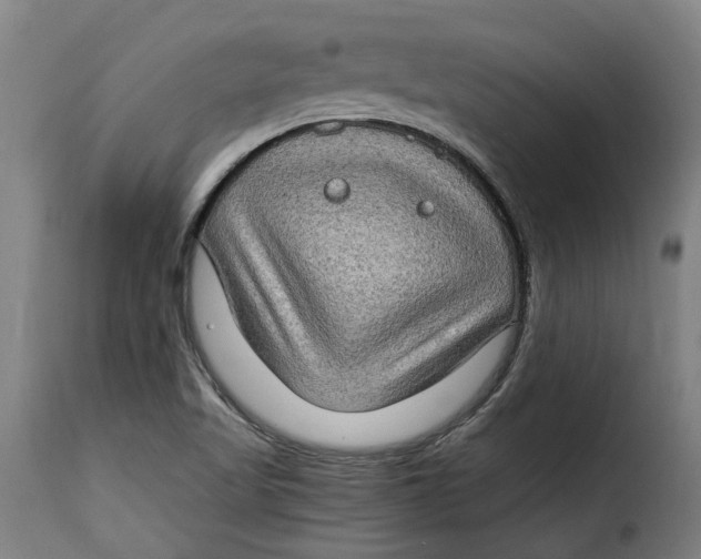 X0000115281509200911201740