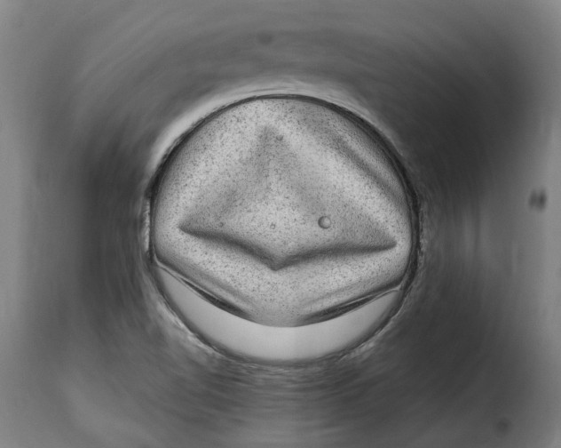 X0000115281510200911201740