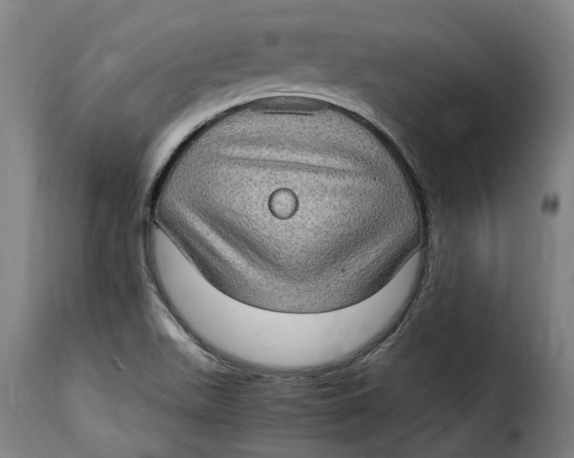 X0000115281511200911201740