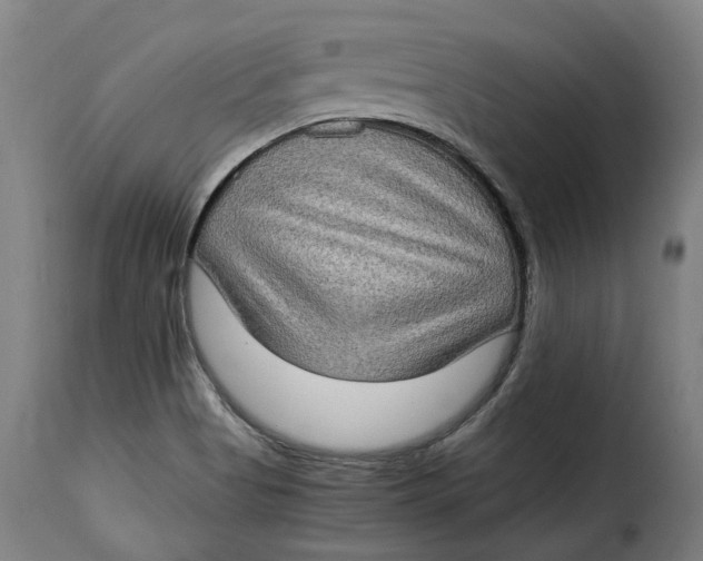 X0000115281513200911201740