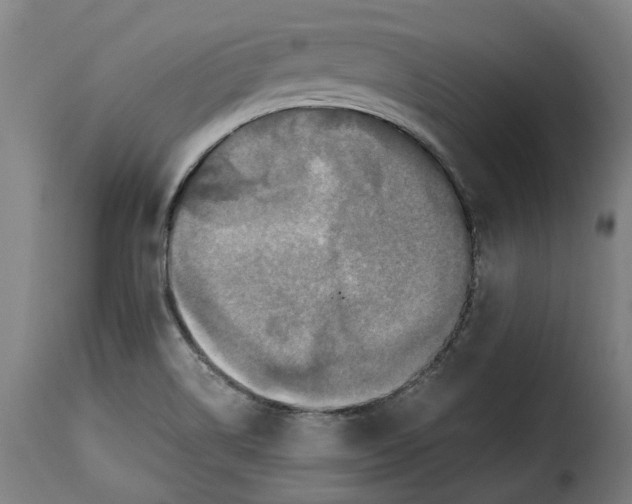 X0000115281514200911201740