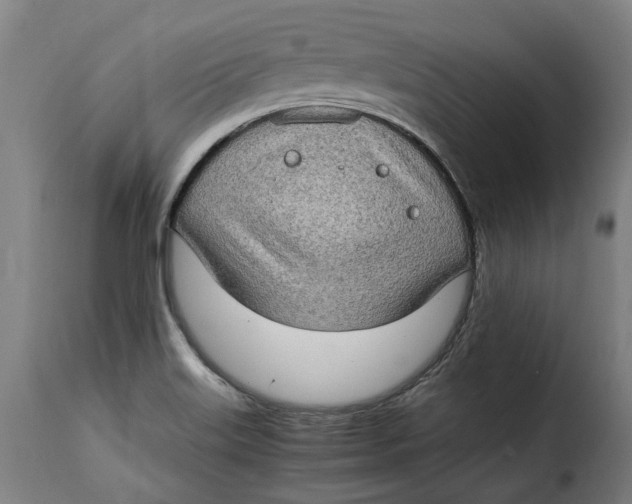 X0000115281515200911201740