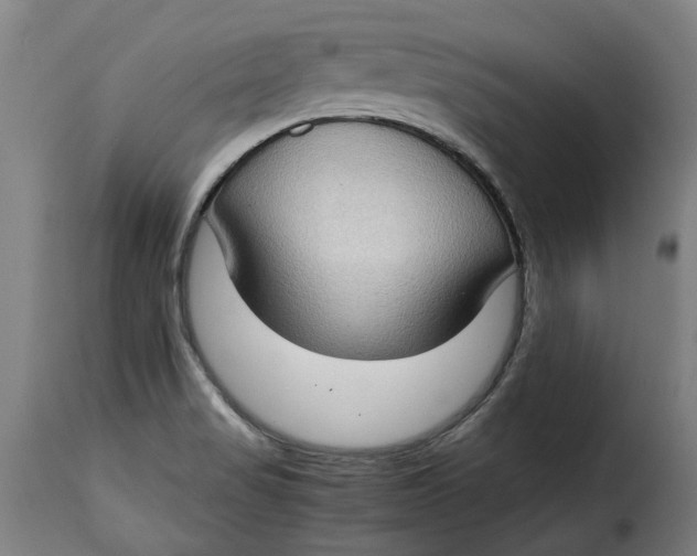 X0000115281517200911201740