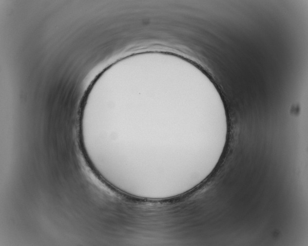 X0000115281518200911201740