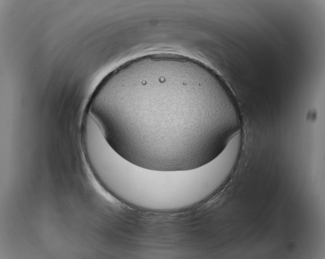 X0000115281519200911201740