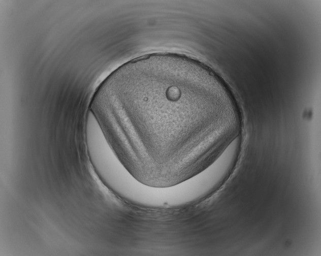 X0000115281521200911201740