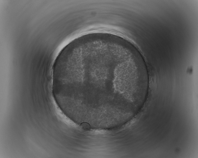 X0000115281522200911201740