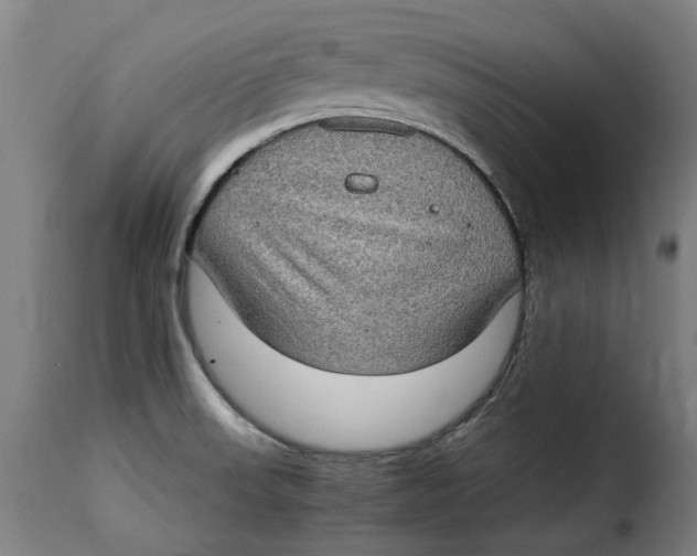 X0000115281523200911201740