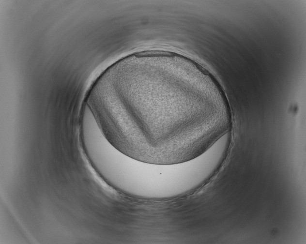 X0000115281525200911201740