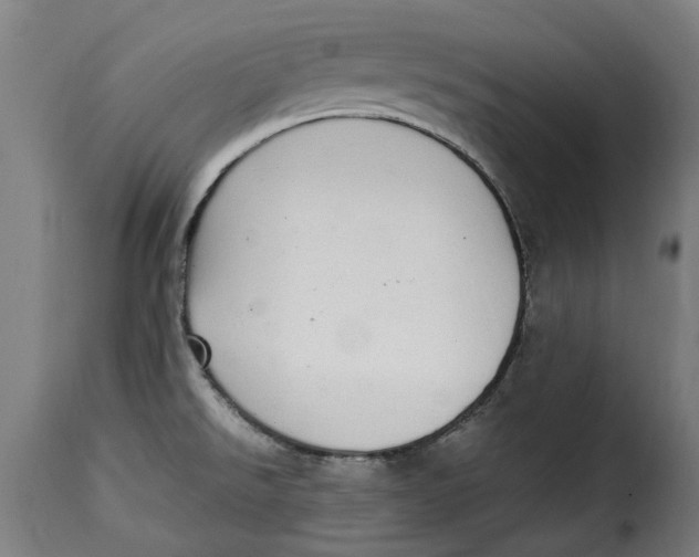 X0000115281526200911201740