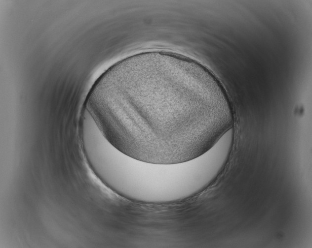 X0000115281527200911201740