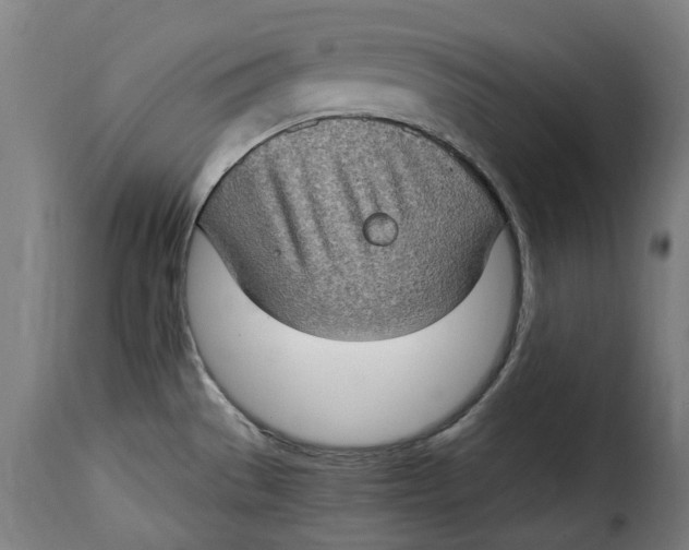 X0000115281529200911201740