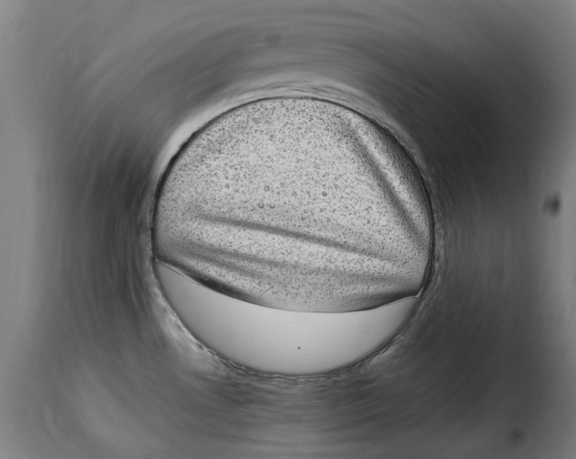 X0000115281530200911201740