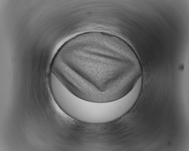 X0000115281531200911201740