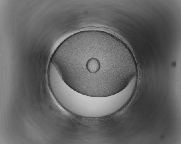 X0000115281533200911201740