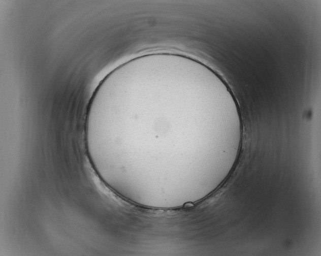 X0000115281534200911201740