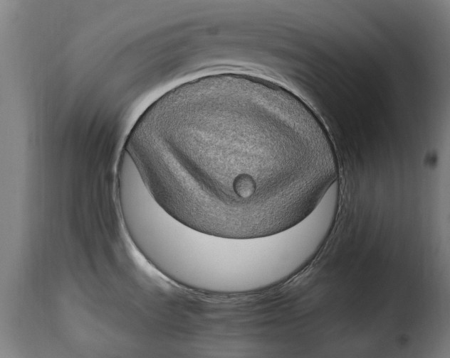 X0000115281535200911201740