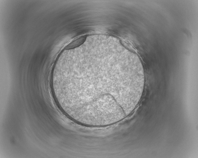 X0000115280001200911272016