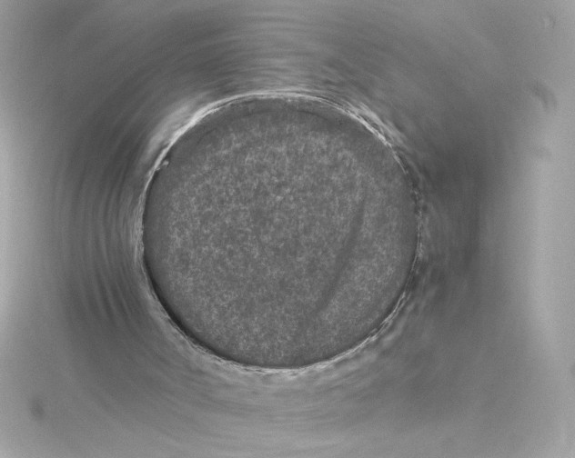 X0000115280002200911272016