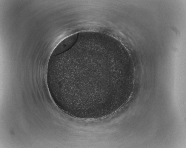 X0000115280003200911272016